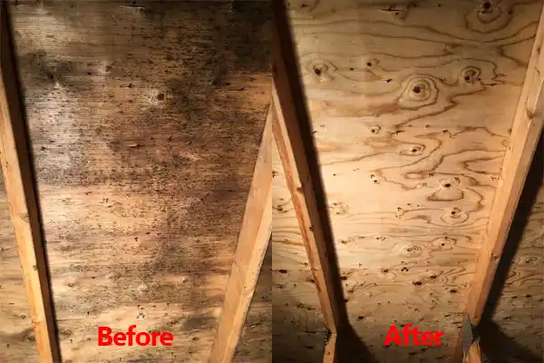 water damage restoration service Tipp City